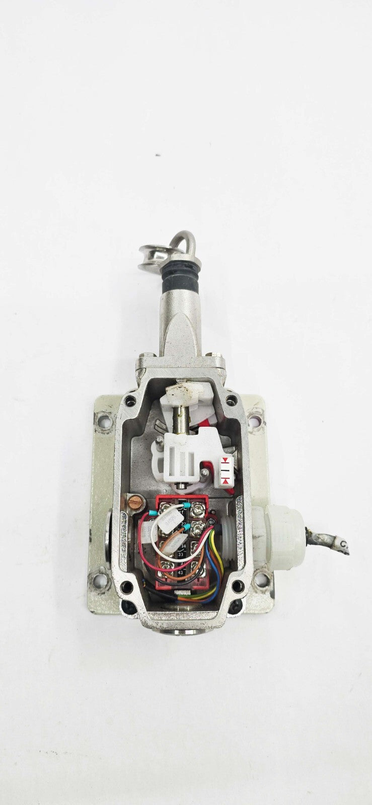 Image #2