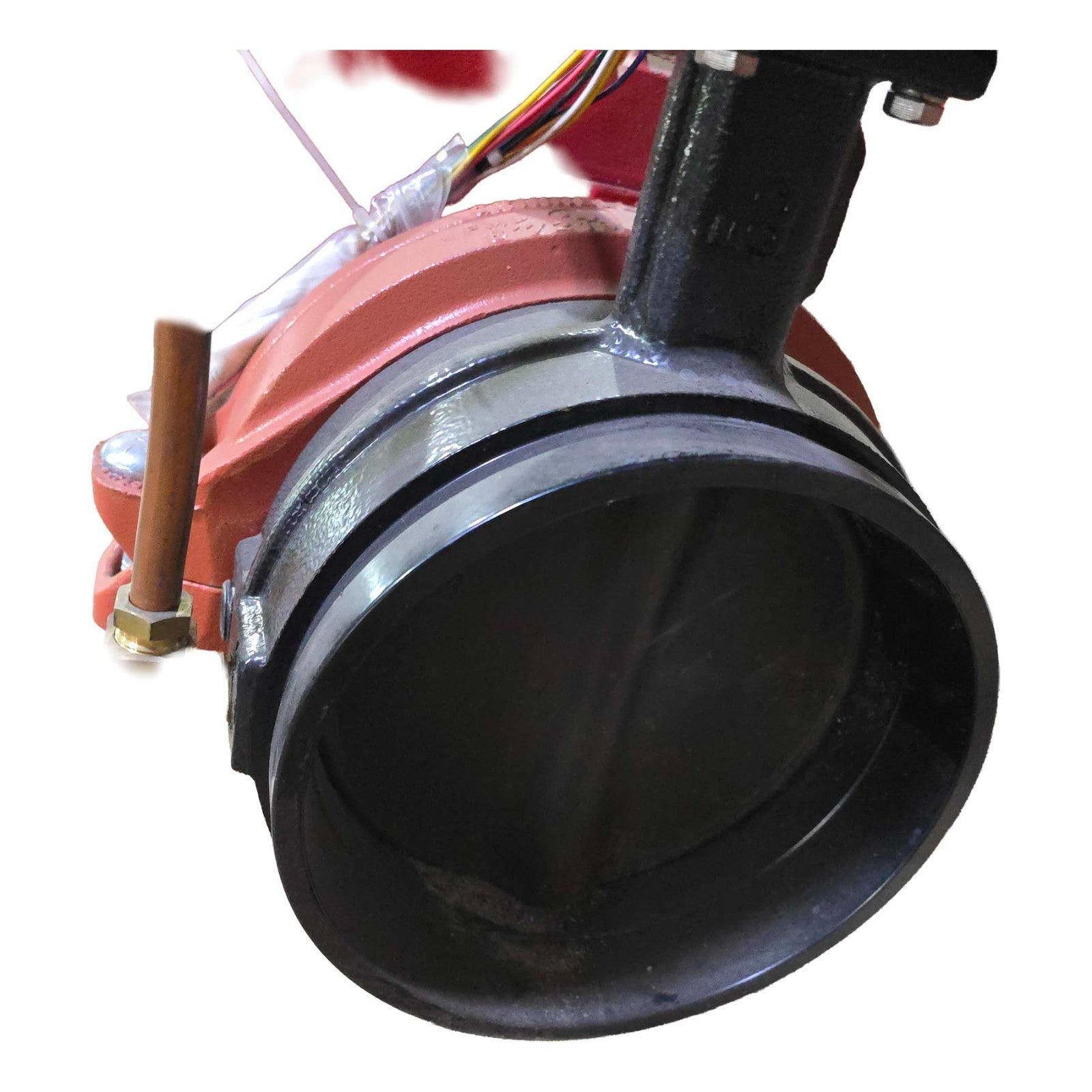 Image #6
