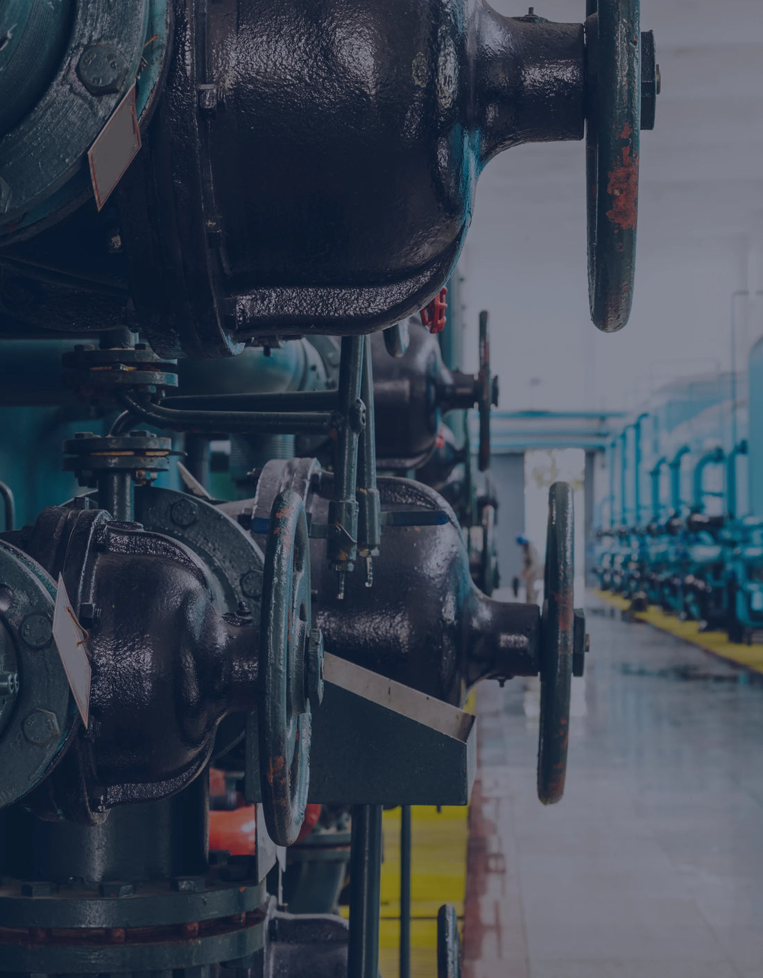 Valves & Manifolds