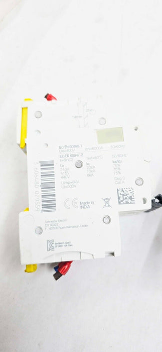 Schneider Electric IC60N C 10A & C 6A 2 pole Circuit Breaker