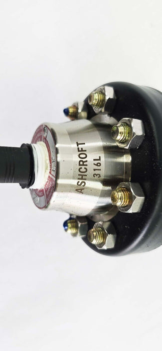 Ashcroft 60-1379 Duragauge Plug 0-400 PSI, AISI 316 w/ Type 200 Diaphragm Seal