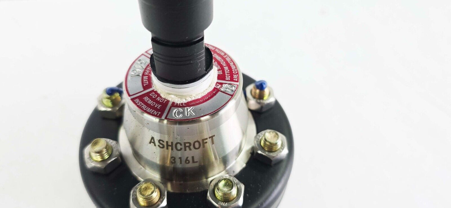 Ashcroft 60-1379 Duragauge Plug 0-400 PSI, AISI 316 w/ Type 200 Diaphragm Seal