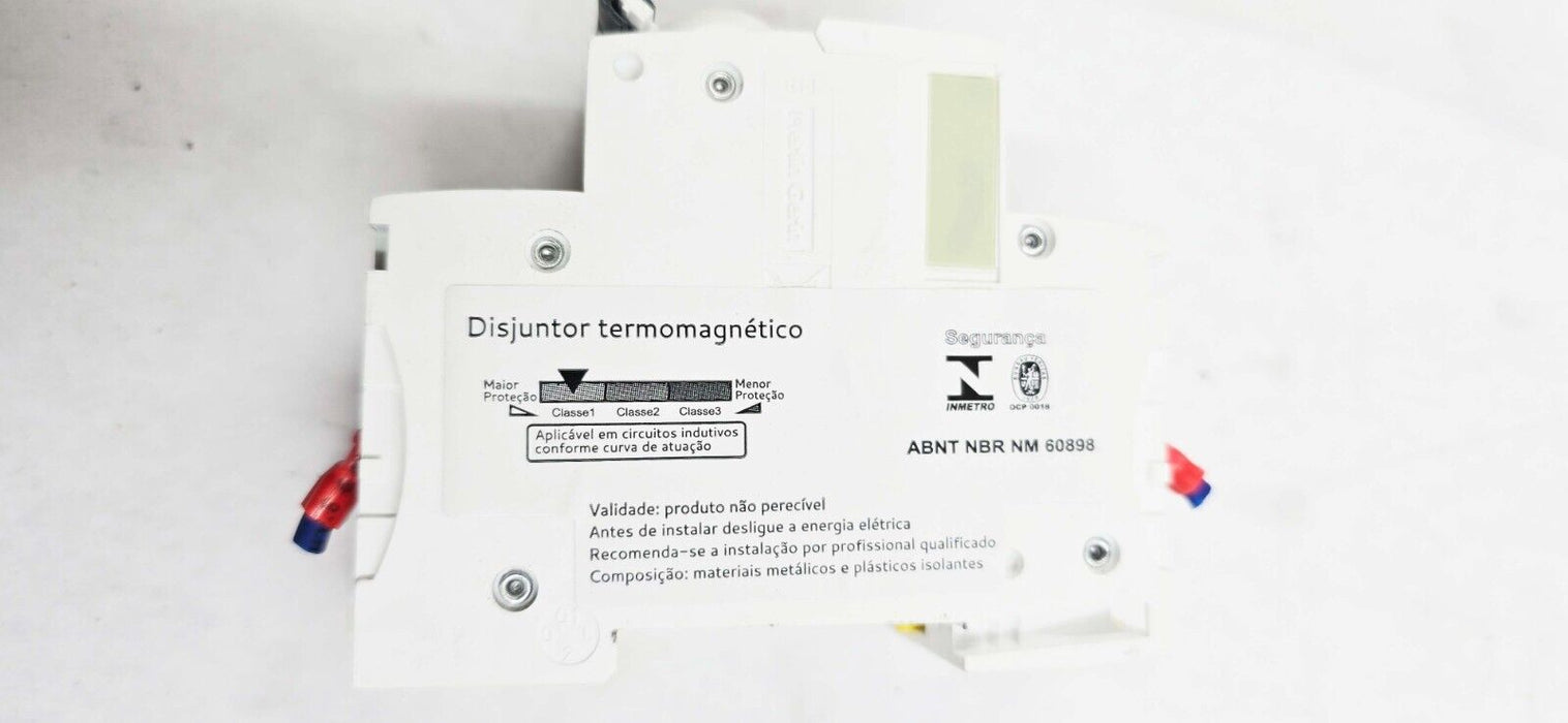 Schneider Electric IC60N C 10A & C 6A 2 pole Circuit Breaker
